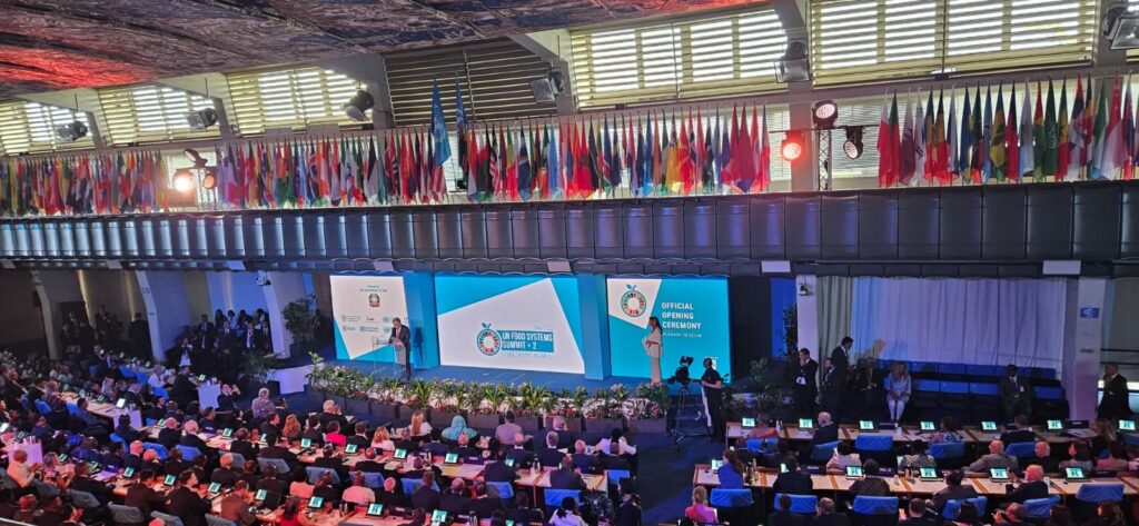 conference translation